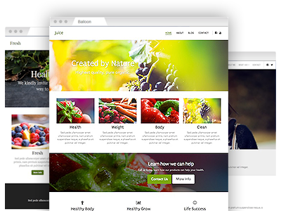 An assortment of creative website themes